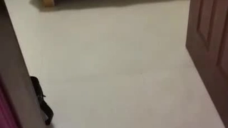 国产特级AAAAA大毛片自拍-有对话的舔JB